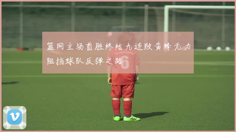 篮网主场首胜终结九连败黄蜂无力阻挡球队反弹之路