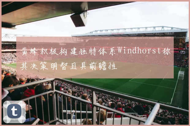 黄蜂积极构建独特体系Windhorst称其决策明智且具前瞻性